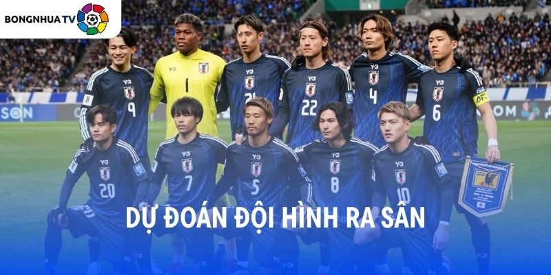 Soi kèo Hà Lan vs Nhật Bản 03:00 Thứ hai, 15/06/2026 FIFA World Cup 2026 8 Dự đoán đội hình ra sân Hà Lan vs Nhật Bản