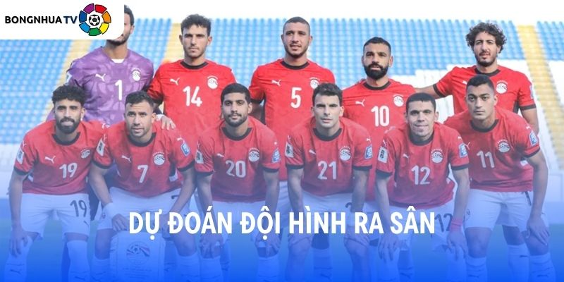 Soi kèo New Zealand vs Ai Cập 08:00 22/06 FIFA World Cup 2026 8 Dự đoán đội hình ra sân New Zealand vs Ai Cập